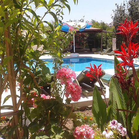 Paradise Garden Gumusluk Evleri Aparthotel Kültér fotó